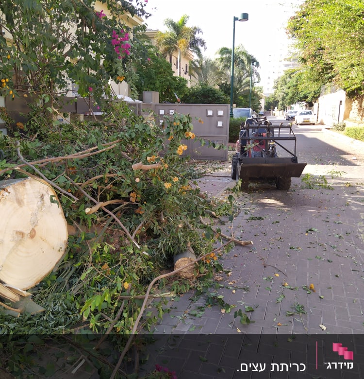 גזע עץ כרות וענפים על הקרקע ליד טרקטור קטן